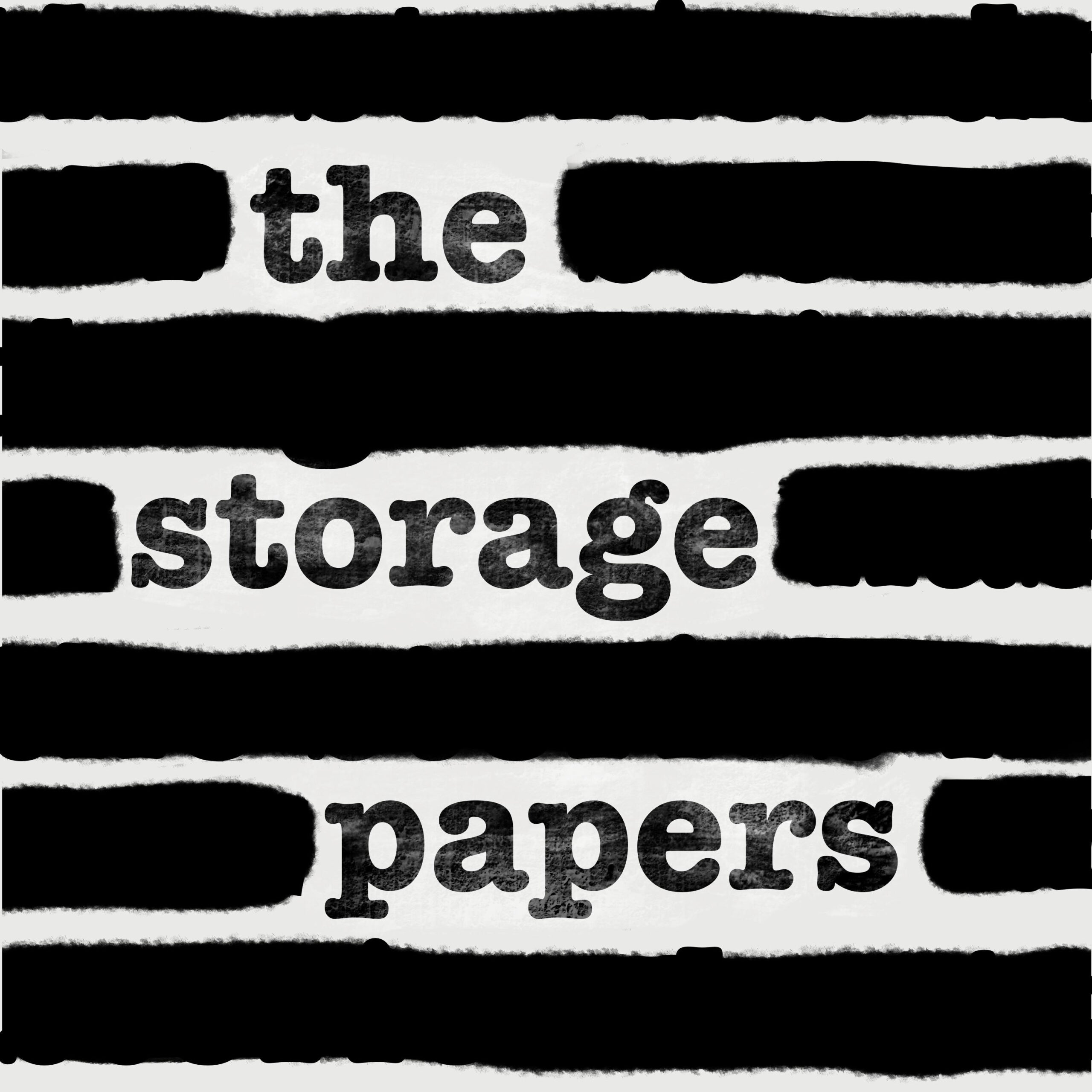 The Storage Papers logo