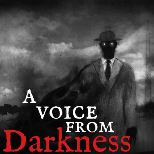 A Voice From Darkness Review