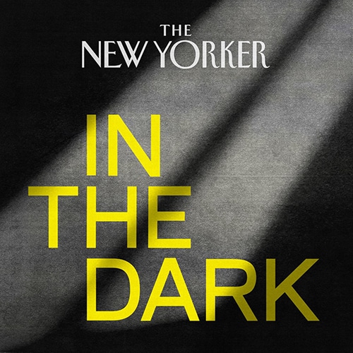 In The Dark logo